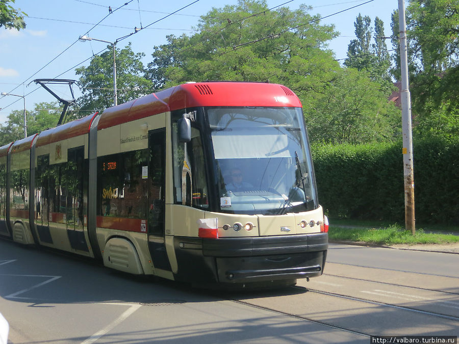 Те самые новые трамваи, в которых чувствуешь себя человеком, а не шпротой в банке. Гданьск, Польша