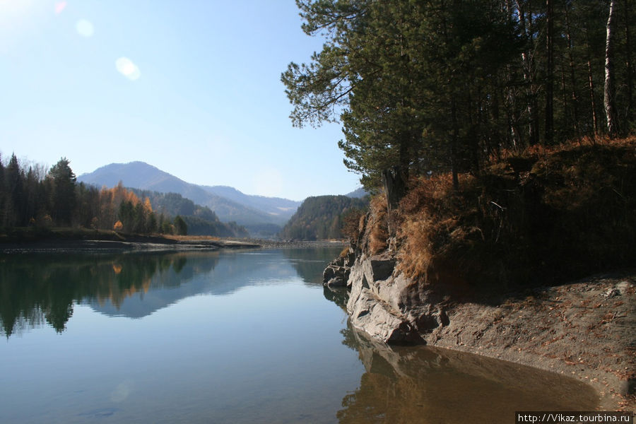 Осенний Алтай Чемал, Россия