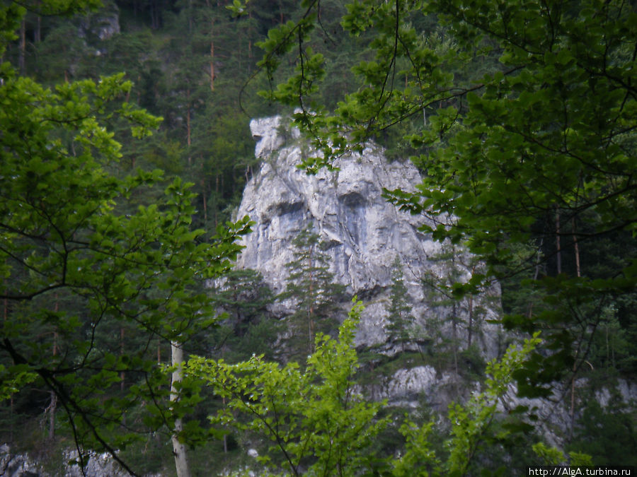 Эта скала называется Голова Яношика (если присмотреться видно лицо). Юрай Яношик — словацкий народный герой, типа Робина Гуда Словакия