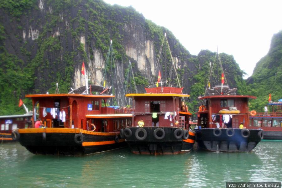 Туристический флот Халонг бухта, Вьетнам