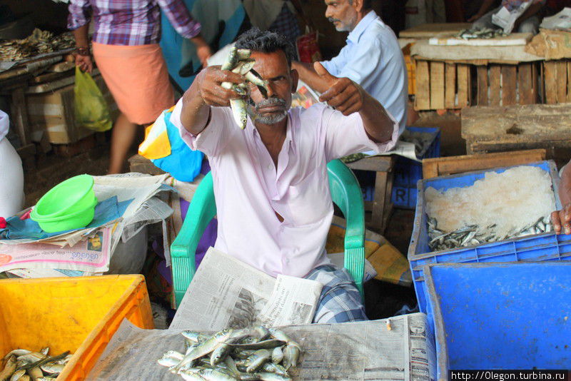 Рыбака видно издалека, Фиш-темы Варкалы Варкала, Индия