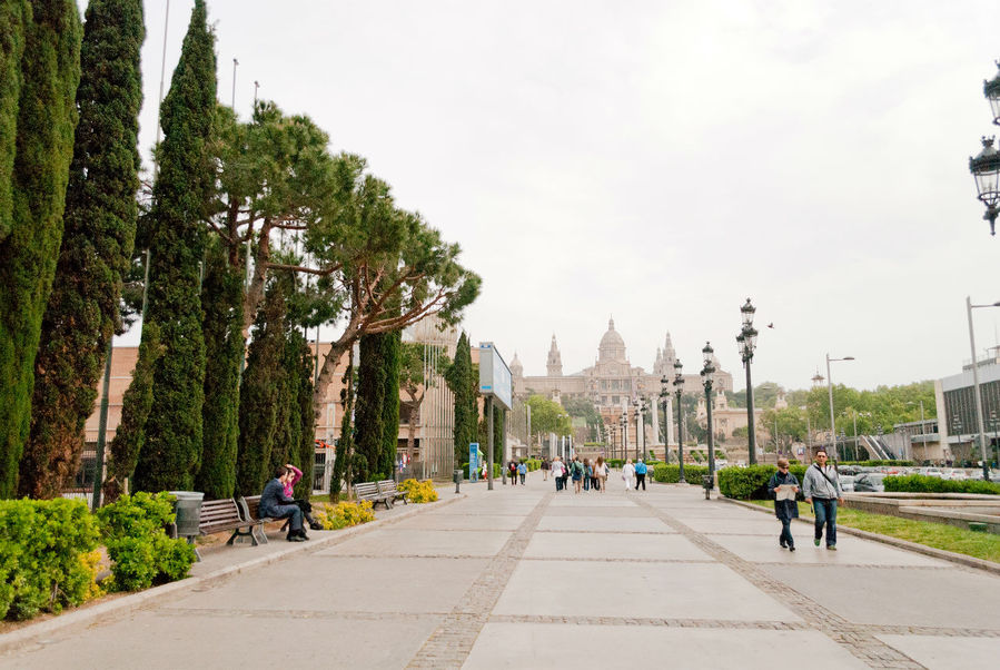 Главным зданием на этой территории является Национальный дворец, в котором сейчас находится музей искусства Каталонии. Барселона, Испания