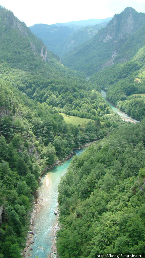 Каньён реки Тара. Черногория