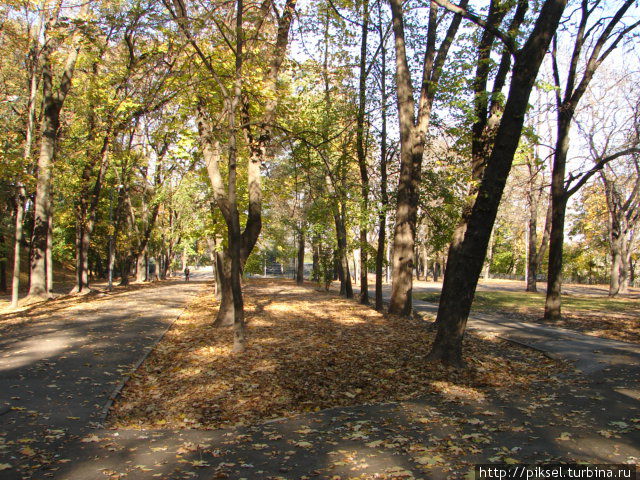 Аллея ведущая к памятнику со стороны западного входа в парк Киев, Украина