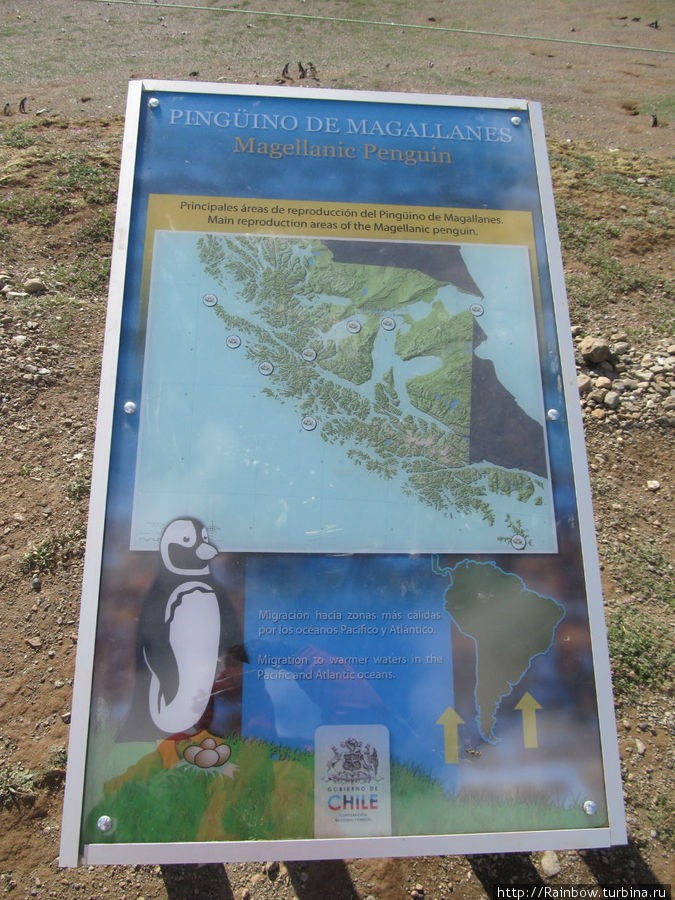 Информация для туристов Остров Магдалена, Чили