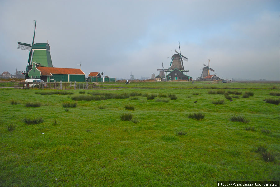Близкая провинция Зансе-Сханс, Нидерланды