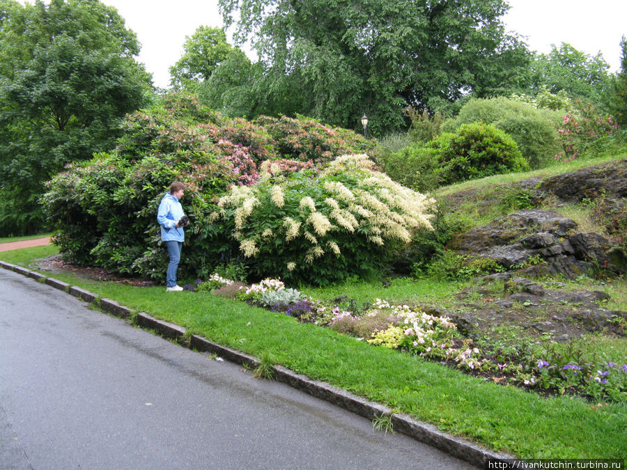 Публичная часть парка благоухает цветущими растениями Осло, Норвегия