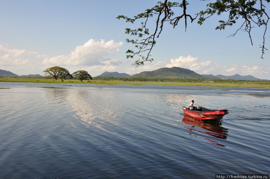 Воды Тисса Вевы — место воскресных купаний ланкийцев из Тиссамахарамы. Шри-Ланка