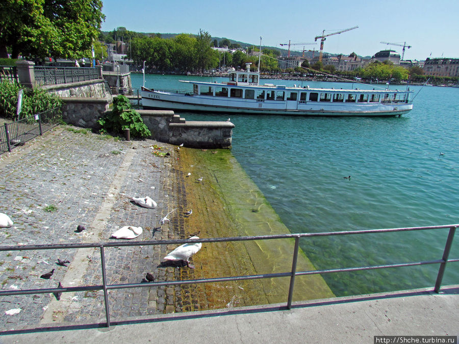 Водная гладь Цюрихского озера Цюрих, Швейцария