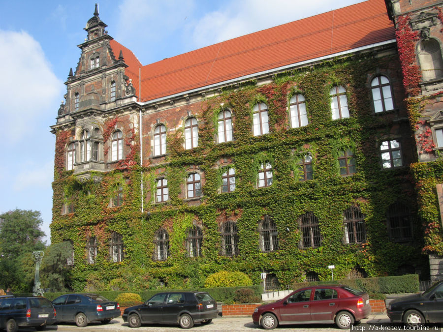 Это здание музея Вроцлав, Польша