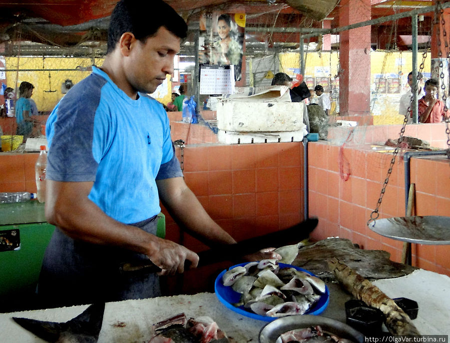 Можно попросить разрезать рыбу на куски Тринкомали, Шри-Ланка