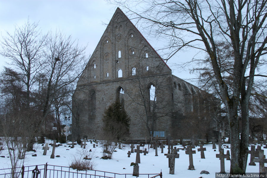 Монастырь Св.Биргитты Таллин, Эстония