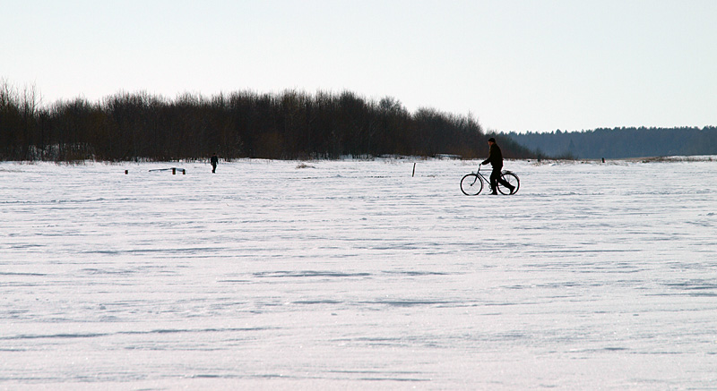 Суровые каргопольские тру-велосипедисты и зимой не используют лыжи! Каргополь, Россия