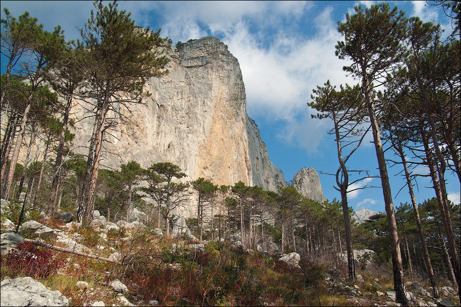 Крымский Шанхай Алупка, Россия