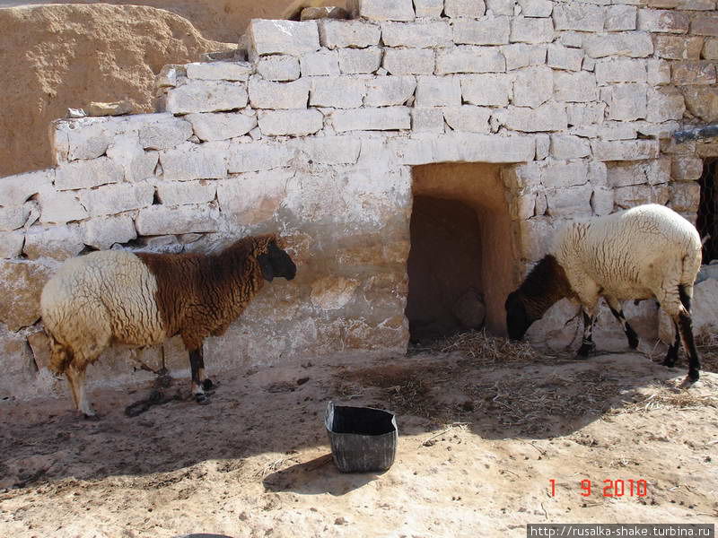 Матматы, эти странные места Матмата, Тунис