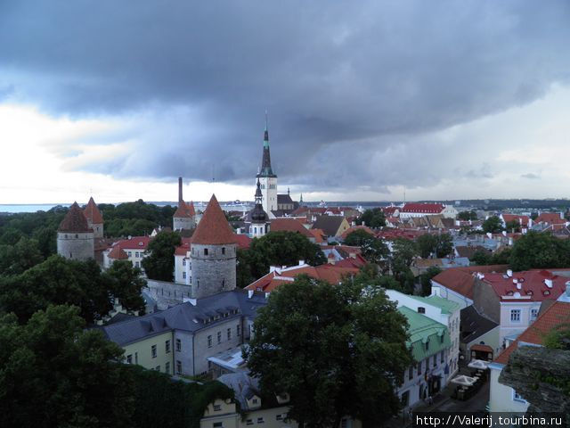 Вид с верхней части города Таллин, Эстония