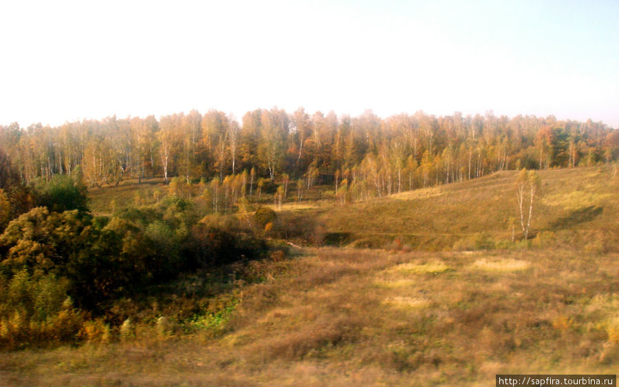 Козельские леса Козельск, Россия