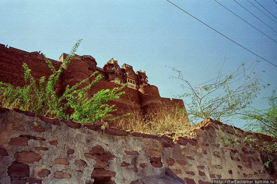 Вот такой форт, подниматься невероятно трудно с непривычки Джодхпур, Индия