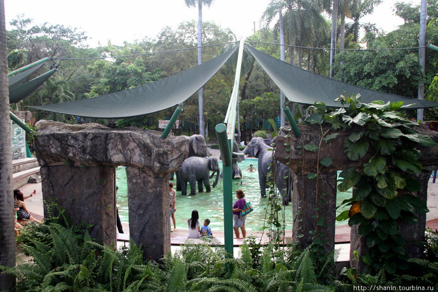Зоопарк Дусит Бангкок, Таиланд