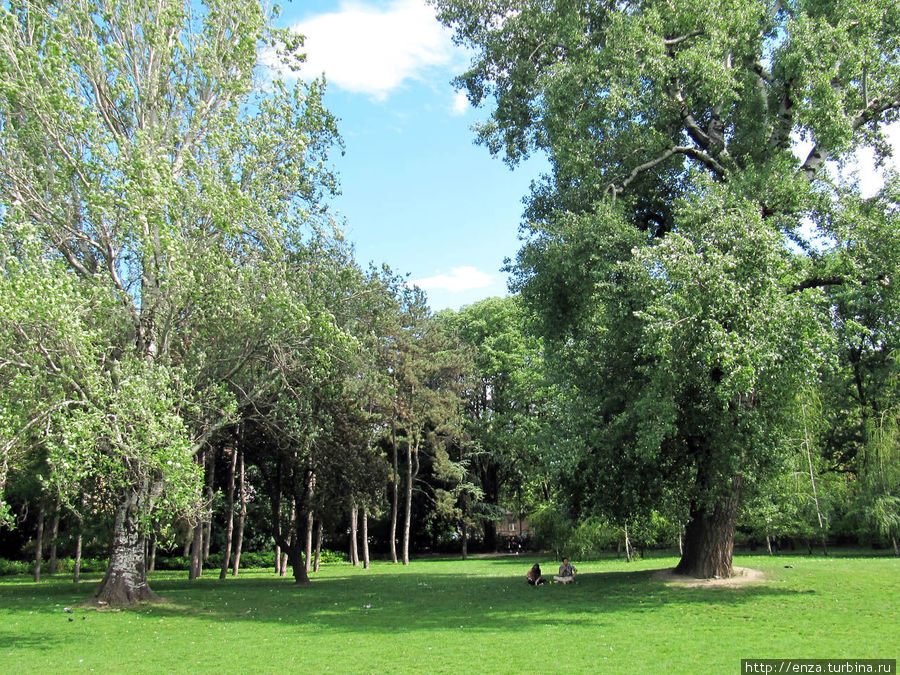 Зеленый уголок Нови-Сада