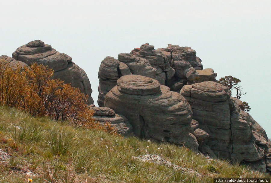 Семинар по Цигун в Крыму 2009г. Республика Крым, Россия