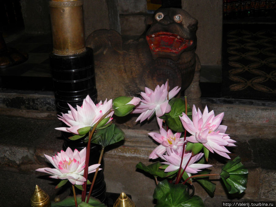 Sri Lanka(12) Канди - Главный туристический объект Шри Ланки Канди, Шри-Ланка