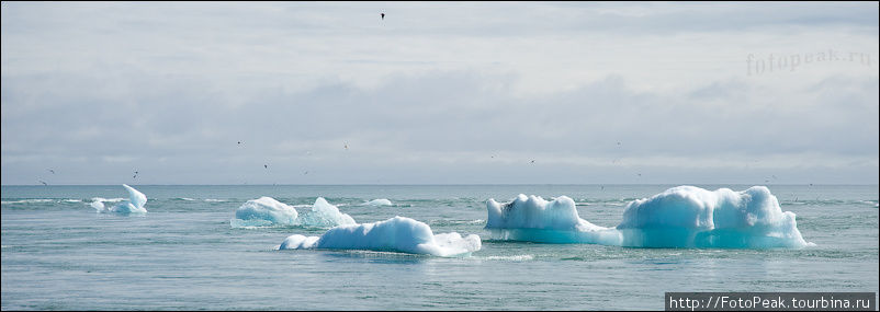 Айсберги дрейфуют вдоль побережья поблизости от Лагуны. Во время отлива их выносит в океан, а во время прилива их заносит обратно в озеро. Видимо природа не хочет терять такую красоту. Йёкюльсаурлоун ледниковая лагуна, Исландия