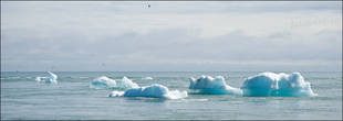 Айсберги дрейфуют вдоль побережья поблизости от Лагуны. Во время отлива их выносит в океан, а во время прилива их заносит обратно в озеро. Видимо природа не хочет терять такую красоту.