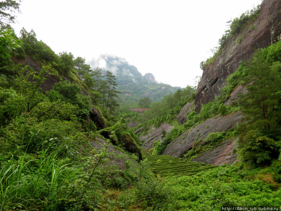 Уишань — горы в которые хочется вернуться (Часть 2) Уишань, Китай