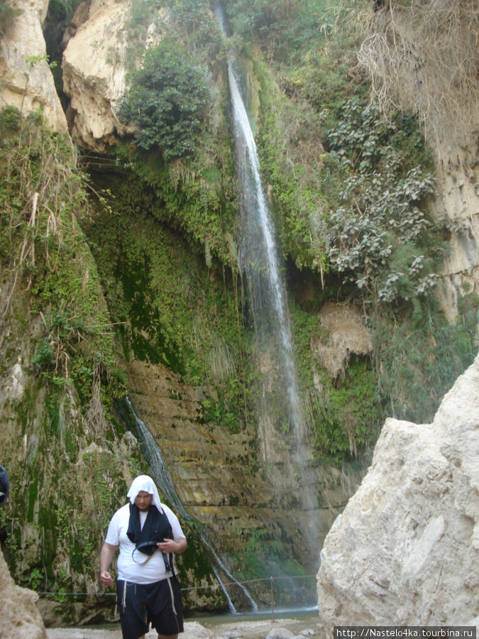 Водопады Давида Израиль