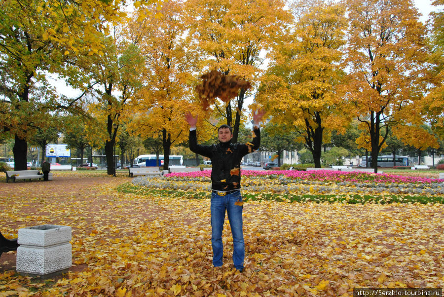 Где сейчас осень. Золотая осень в Санкт-Петербурге. Люди в Питере осенью. Клен в Питере. Рыжая осень.