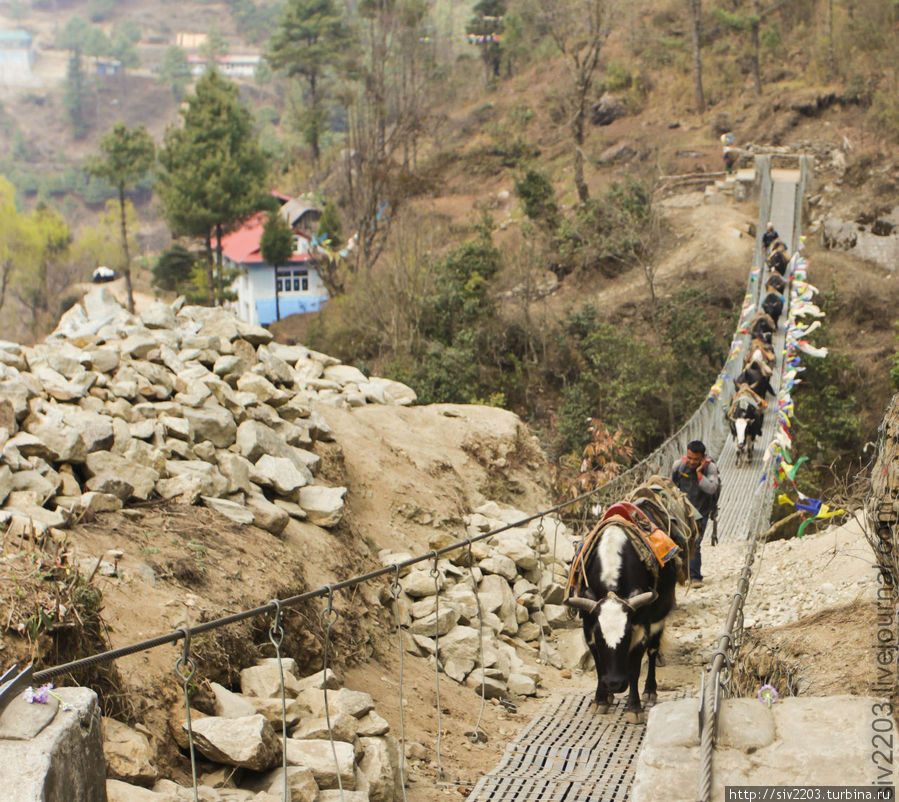 Трек к Эвересту 2012 — Лукла-Пхагдинг-Намче Базар Непал