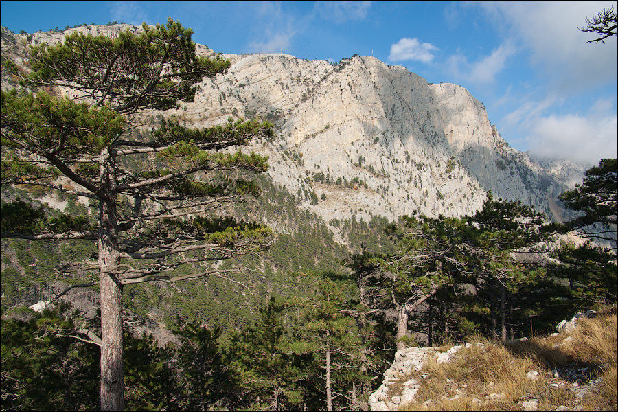 Крымский Шанхай Алупка, Россия