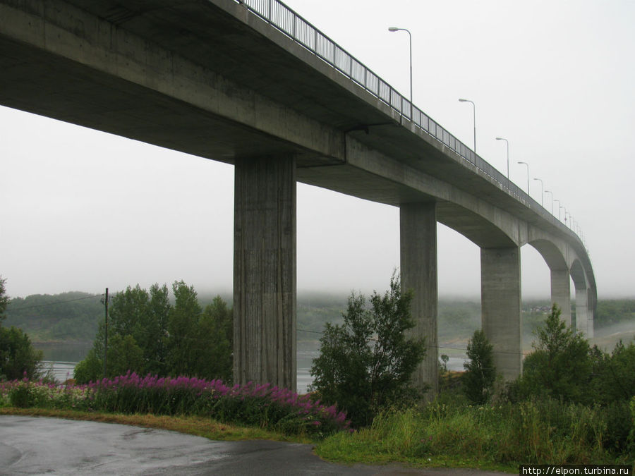 Наблюдать за водоворотами можно с моста над фьордом. Сальстраумен, Норвегия