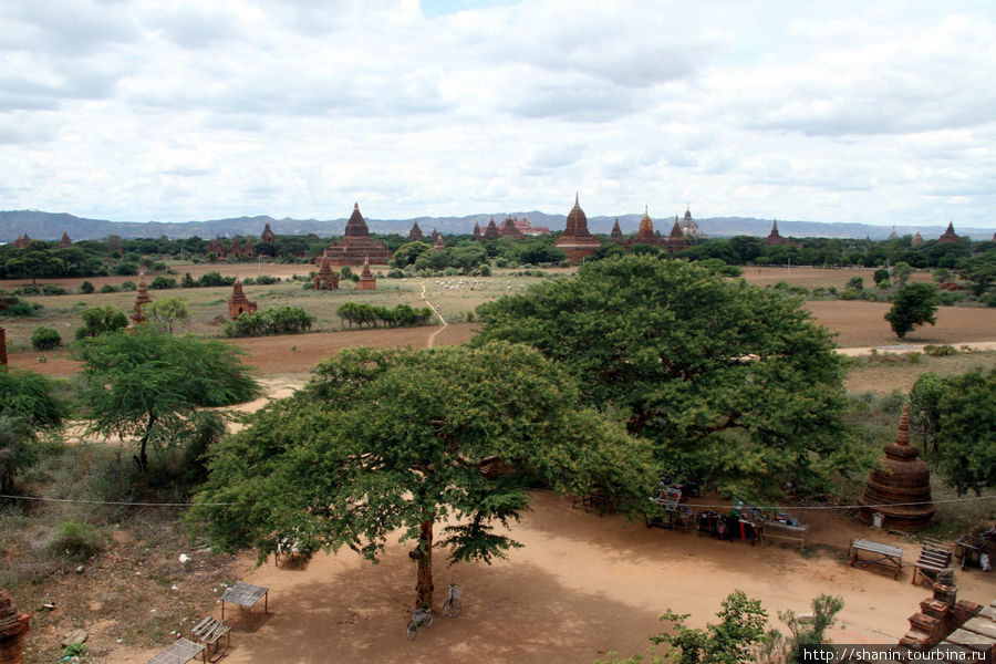 Вид с пагоды Мингала зедив на ступы Багана Баган, Мьянма