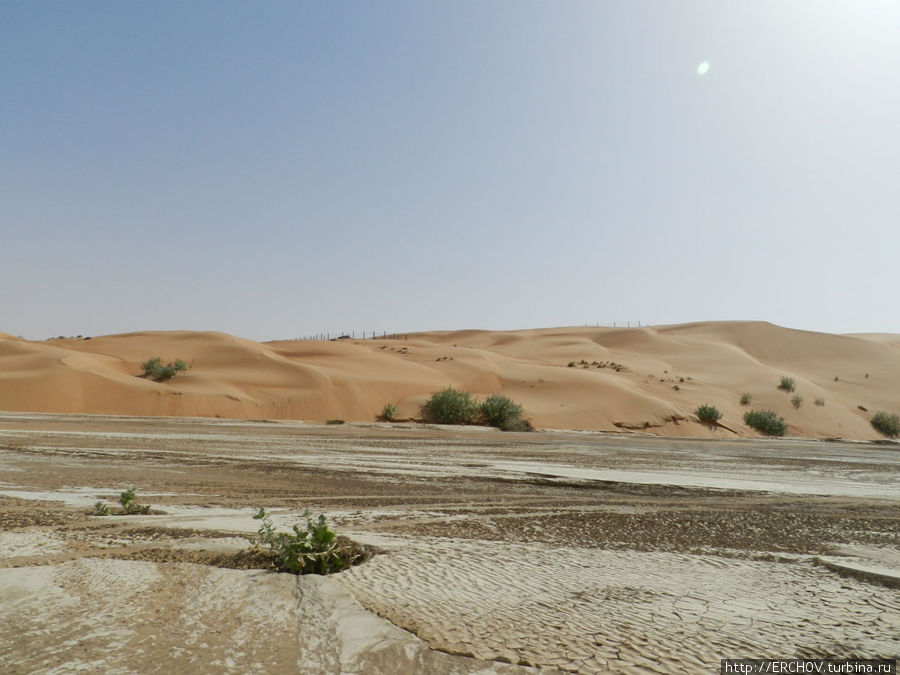 Воспоминания о Султанате Часть 9 В песках пустыни Ваххиб