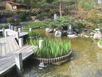 Ботанический сад в японском стиле.