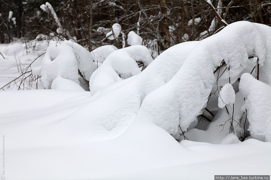 В зимнее теплое одеяло укутано все вокруг Морщихинская, Россия
