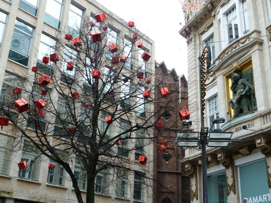 Дерево Рождества
Антверпен Брюссель, Бельгия