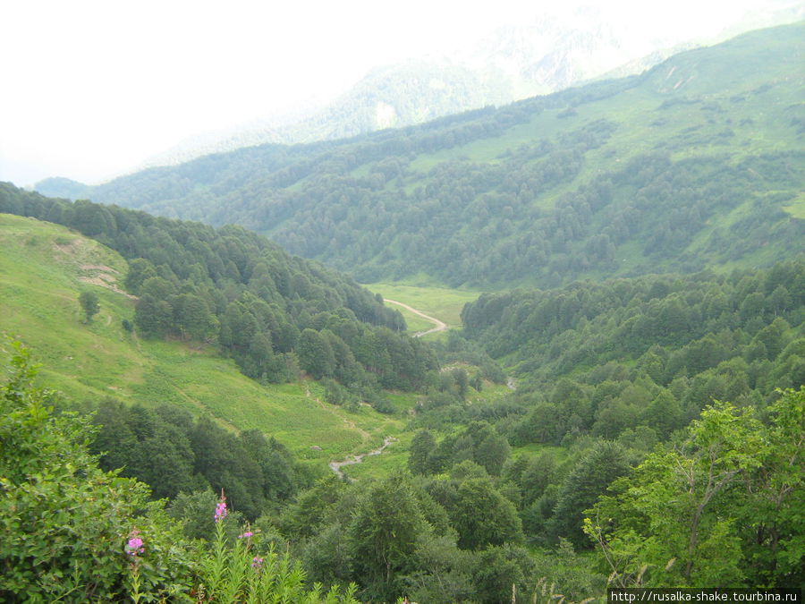 Абхазия, где-то высоко в горах... Абхазия