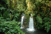 В зелёных джунглях парка есть даже несколько небольших,но симпатичных водопадиков