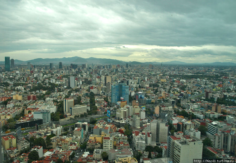Это фото я сделала с 39 этажа World Trade Center, и это не самое высокое здание в городе. Мехико, Мексика