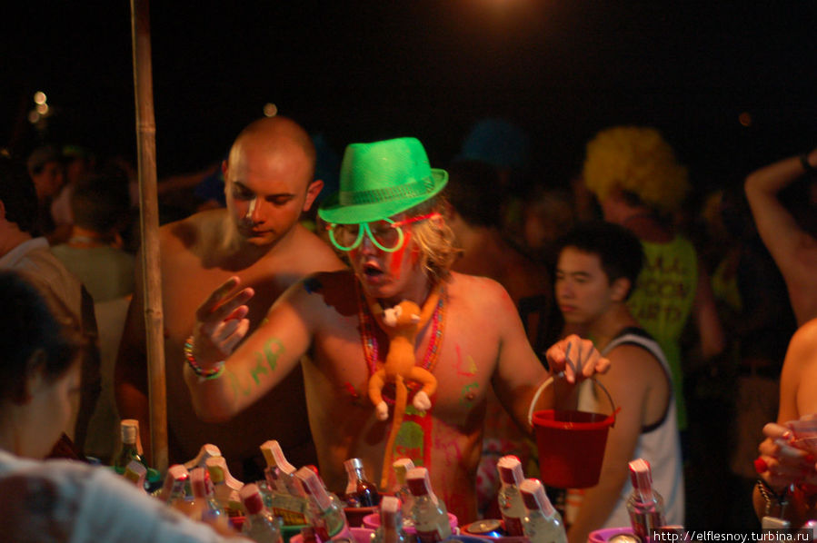 Fool Moon Party — в мире животных Остров Панган, Таиланд