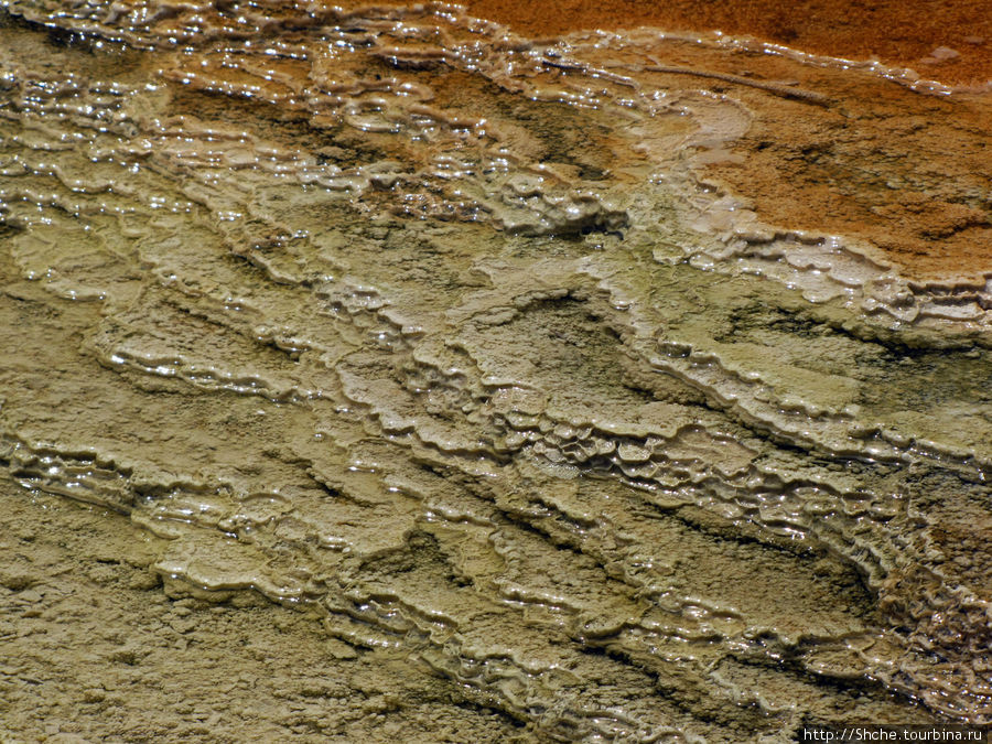 Дно этих ручьев имеет любопытные пространственно-цветовые формирования Йеллоустоун Национальный Парк, CША