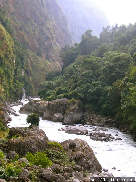 Трек вокруг Аннапурны:  тенистое ущелье и подвесные мосты Национальный парк Аннапурны, Непал
