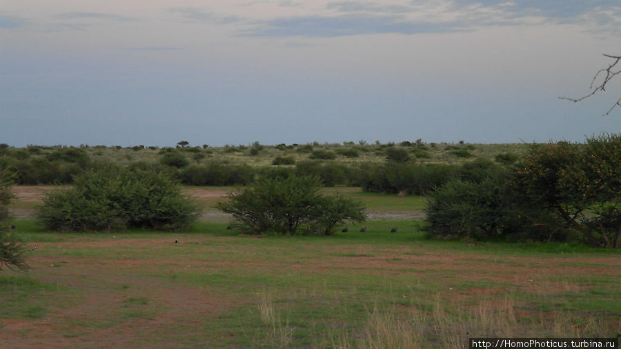Восход в Калахари Область Карас, Намибия