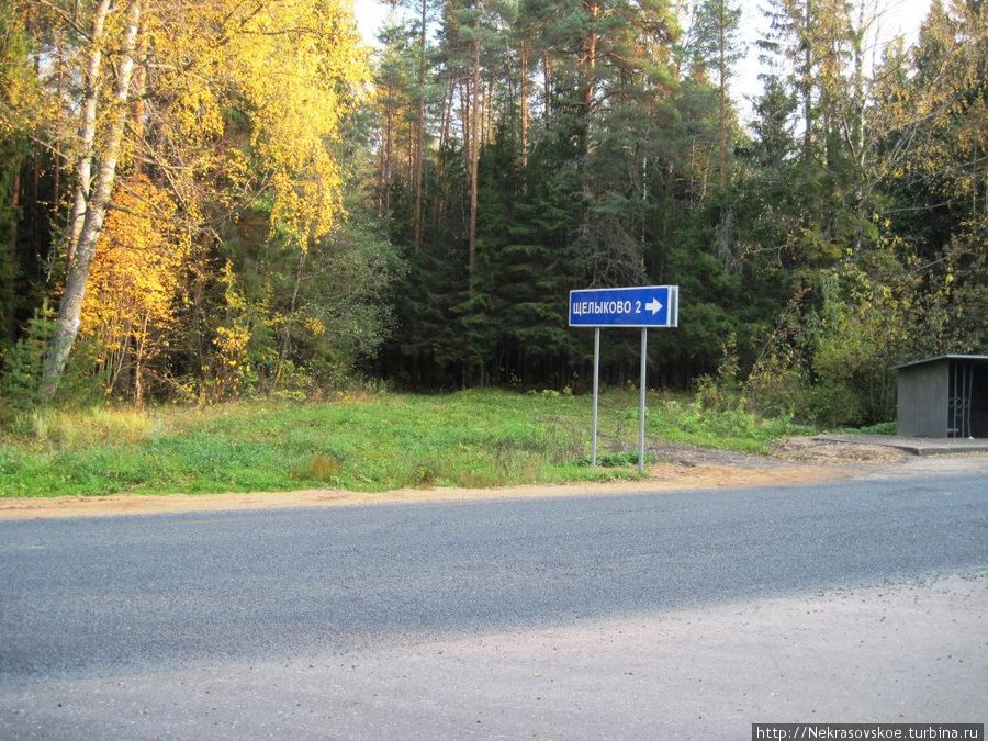 С автотрассы на Заволжск необходимо повернуть направо чтобы попасть в Щелыково Россия