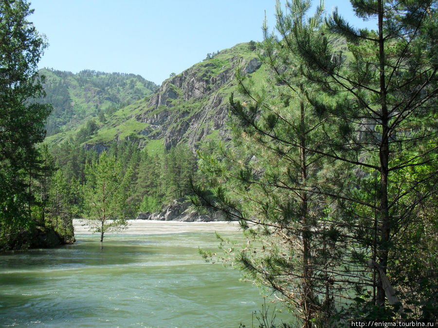 Зелёные воды Чемала сливаются с мутными во время паводка водами Катуни. Республика Алтай, Россия