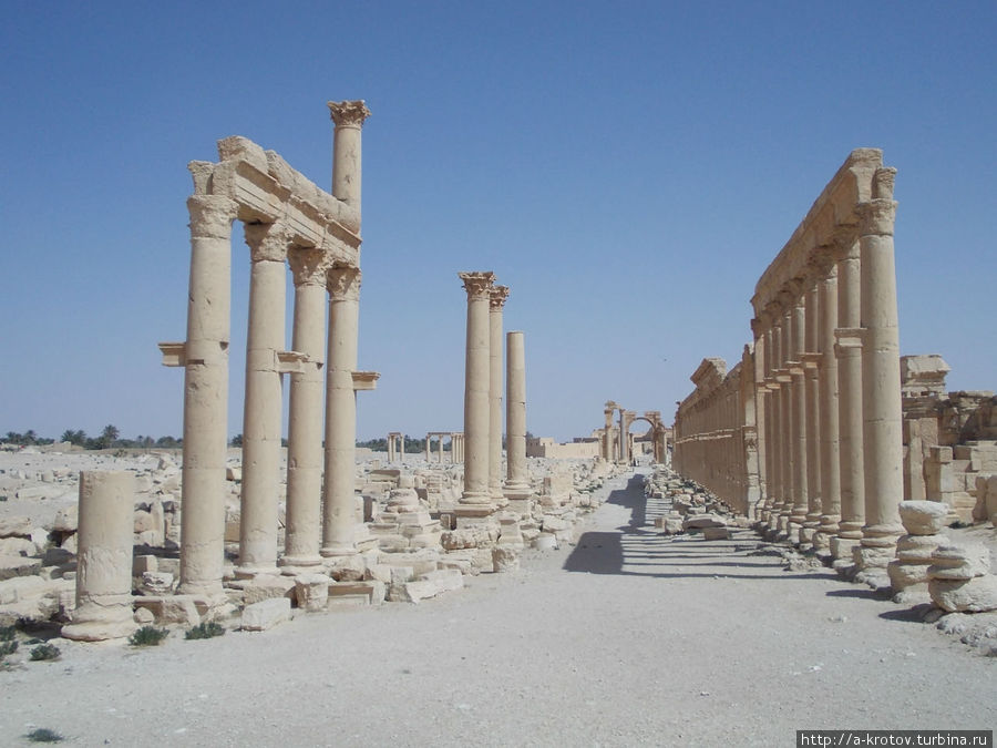 колоннада Тадмур (Пальмира), Сирия