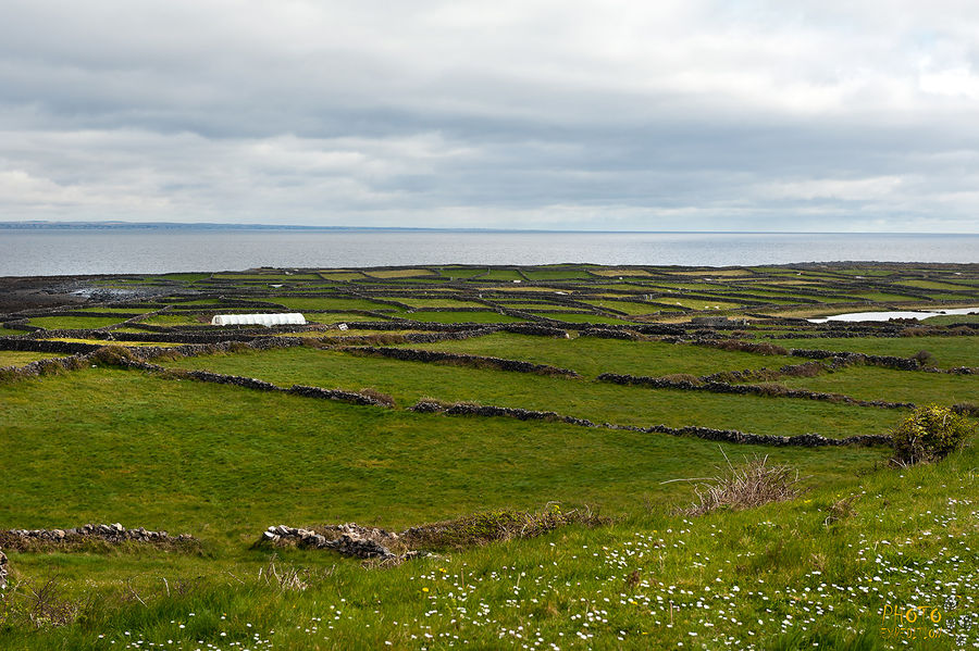 Поля, поля, кругом поля Графство Голуэй, Ирландия